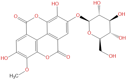 Stachyanthuside A CAS號(hào)：864779-30-6 中藥對(duì)照品標(biāo)準(zhǔn)品