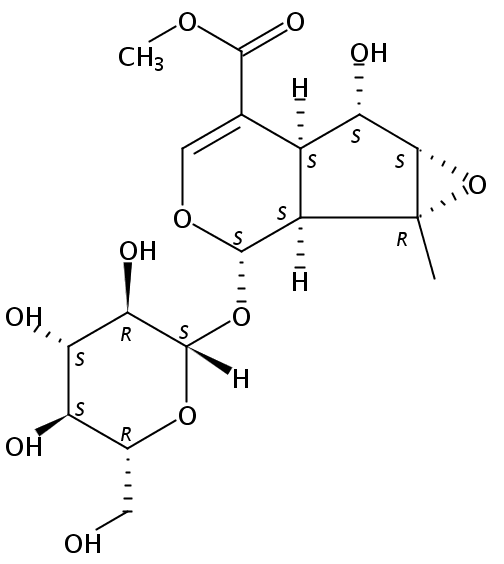 Phlorigidoside C CAS號：276691-32-8 中藥對照品標準品