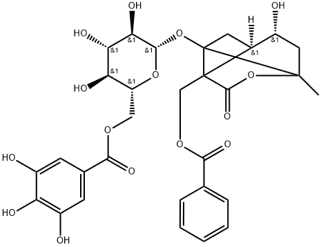 6'-O-沒食子酰白芍苷 | CAS No.929042-36-4