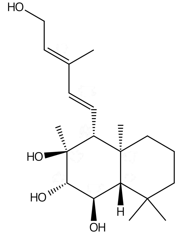 甜葉菊素E | CAS No.114343-74-7