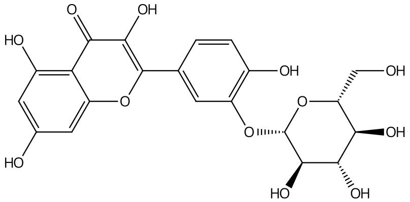 槲皮素-3'-O-β-D-葡萄糖苷 CAS丨No.19254-30-9