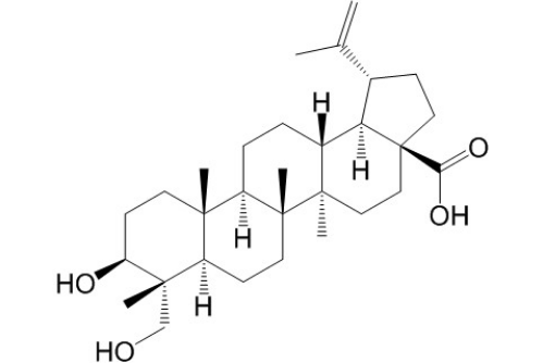 23-羥基白樺酸 丨CAS No.85999-40-2