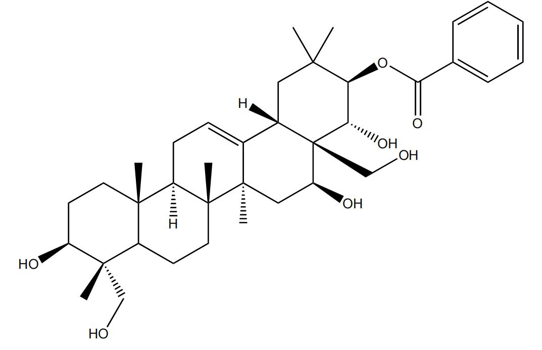 21-O-苯甲?；赘傩萝赵?/></div>
								  <div   id=