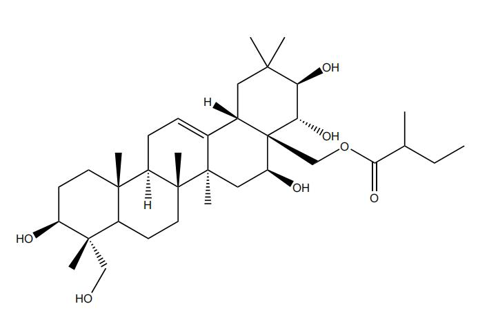 28-O-2S-甲基丁?；赘傩萝赵?/></div>
								  <div   id=