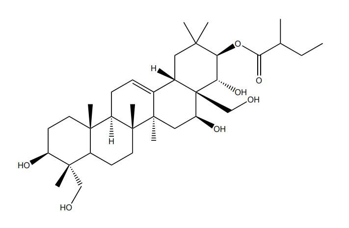 21-O-2S-甲基丁?；赘傩萝赵?丨CAS No.1581276-60-9