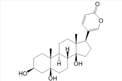 遠(yuǎn)華蟾蜍精 丨CAS No.472-26-4