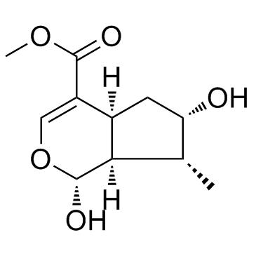 馬錢苷元 CAS：29748-10-5 中藥對(duì)照品標(biāo)準(zhǔn)品