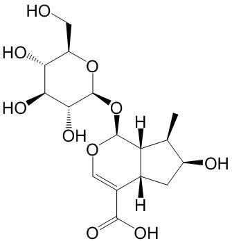 馬錢苷酸 CAS：22255-40-9 中藥對(duì)照品標(biāo)準(zhǔn)品