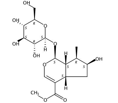 馬錢苷 CAS：18524-94-2 中藥對照品標(biāo)準(zhǔn)品