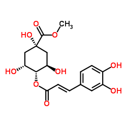 4-O-(E)-咖啡?；鼘幩峒柞?丨CAS No.123372-74-7