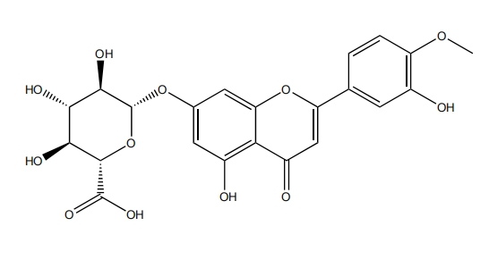 香葉木素-7-O-β-D-葡萄糖醛酸苷 | CAS No.35110-20-4