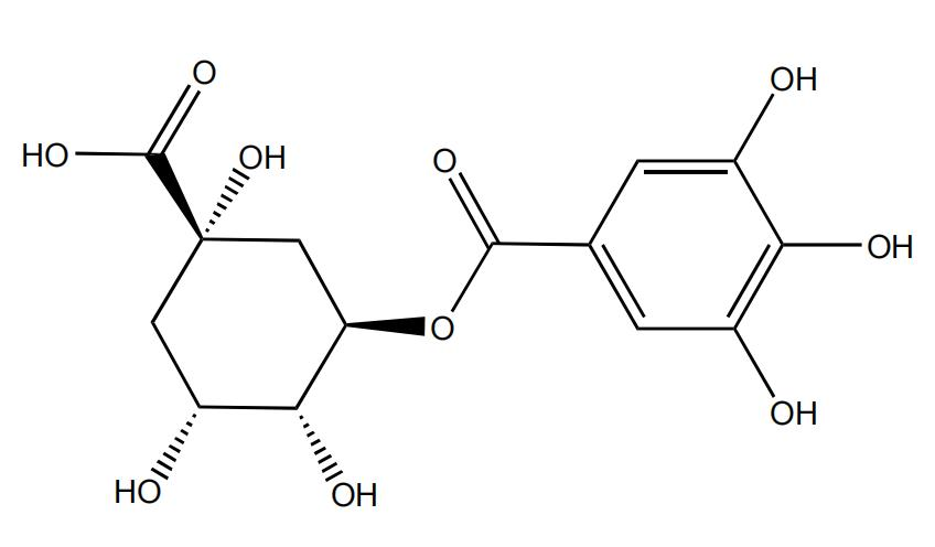 3-沒食子酰基奎寧酸 | CAS No.17365-11-6