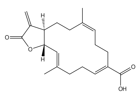 防風(fēng)酸 | CAS No.59632-76-7