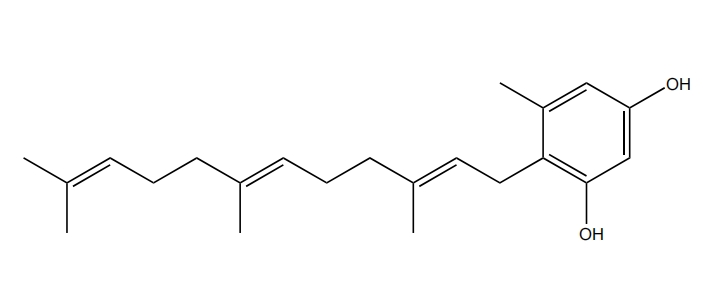 Neogrifolin | CAS No.23665-96-5