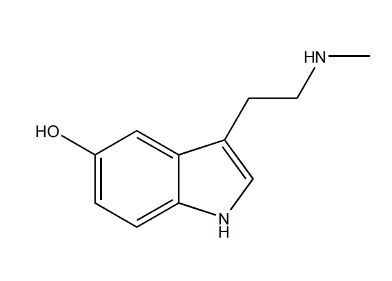 N-甲基五羥色胺 | CAS No.1134-01-6